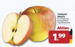 Famila Nord West Tafeläpfel Wellant Angebot