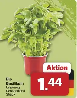 Famila Nord West Bio Basilikum Angebot