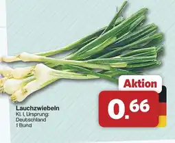 Famila Nord West Lauchzwiebeln Angebot
