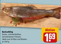REWE Bachsaibling Angebot