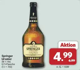 Famila Nord West Springer Urvater Angebot