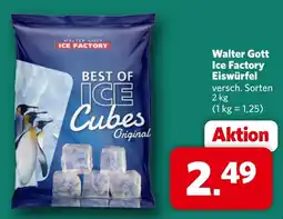 Famila Nord West Walter Gott Ice Factory Eiswürfel Angebot