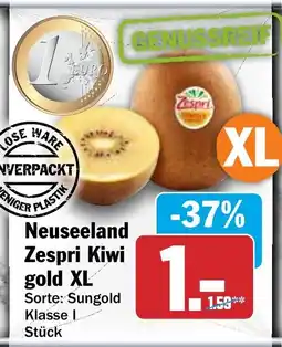 HIT Zespri Kiwi gold XL Angebot