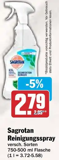 HIT Sagrotan Reinigungsspray Angebot