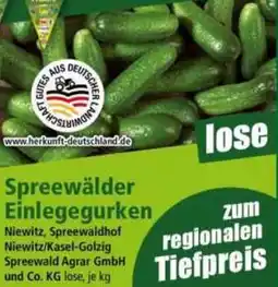 Norma Spreewälder Einlegegurken Angebot