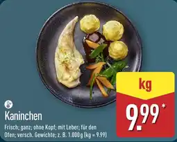 Aldi Nord Kaninchen Angebot