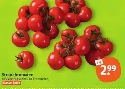 tegut Strauch Tomaten Angebot