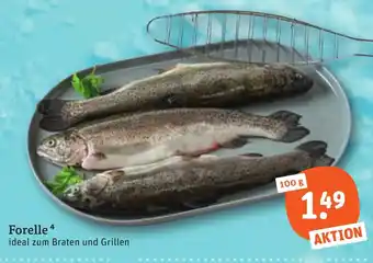 tegut Forelle Angebot