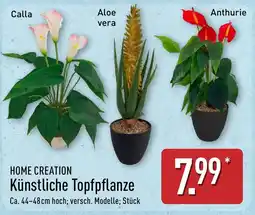 Aldi Nord HOME CREATION Künstliche Topfpflanze Angebot