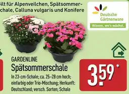 Aldi Nord GARDENLINE Spätsommerschale Angebot