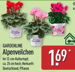 Aldi Nord GARDENLINE Alpenveilchen Angebot