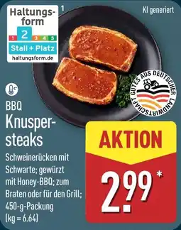 Aldi Nord BBQ Knuspersteaks Angebot