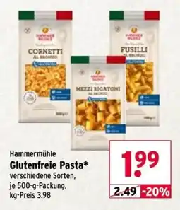 Wasgau Hammermühle Glutenfreie Pasta Angebot