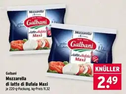 Wasgau Galbani Mozzarella di latte di Bufala Maxi Angebot