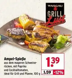 Wasgau WASGAU Grill Lust Ampel-Spieße Angebot