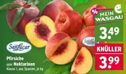 Wasgau Sanfucar Pfirsiche oder Nektarinen Angebot