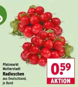 Wasgau Pfalzmarkt Radieschen Angebot