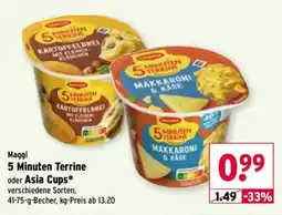 Wasgau Maggi 5 Minuten Terrine Angebot