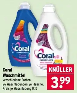 Wasgau Coral Waschmittel Angebot