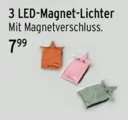 Wasgau LED-Magnet-Lichter Angebot