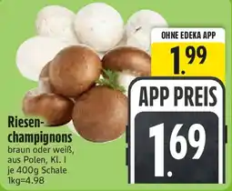 Edeka Riesen-champignons Angebot