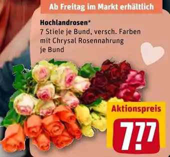 REWE Hochlandrosen Angebot