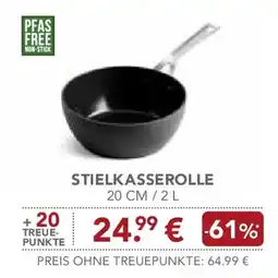 Edeka Stielkasserolle Angebot