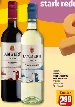 REWE Lamberti Pinot Grigio DOC oder Merlot IGT Angebot