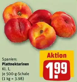 REWE Plattnektarinen Angebot