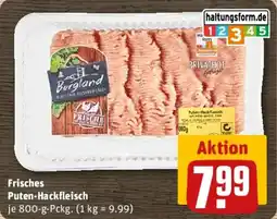 REWE Frisches Puten-Hackfleisch Angebot
