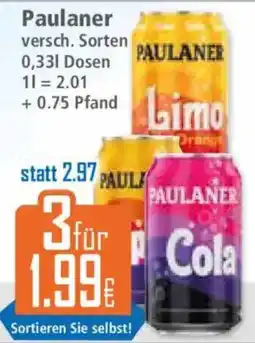 Klaas und Kock Paulaner versch. Sorten Angebot