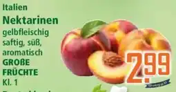 Klaas und Kock Italien Nektarinen Angebot