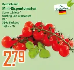 Klaas und Kock Mini-Rispentomaten Angebot