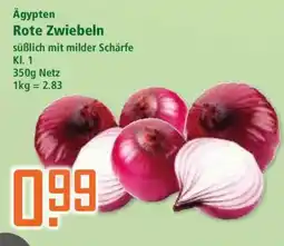 Klaas und Kock Ägypten Rote Zwiebeln Angebot