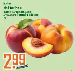 Klaas und Kock Nektarinen Angebot