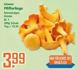 Klaas und Kock Litauen Pfifferlinge Angebot