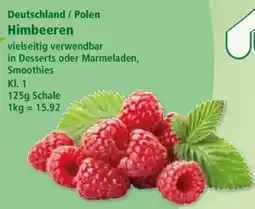 Klaas und Kock Himbeeren Angebot