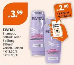 Müller ELVITAL Shampoo Angebot