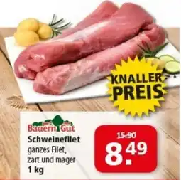 Multi Markt BauernGut Schwelnefilet Angebot