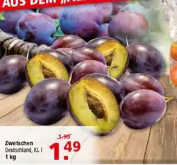 Multi Markt Zwetschen Angebot