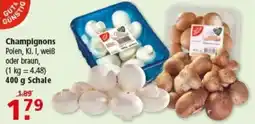 Multi Markt Champignons Polen Angebot