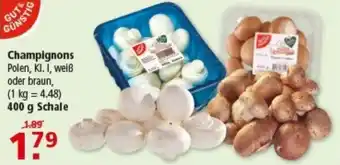 Multi Markt Champignons Polen Angebot