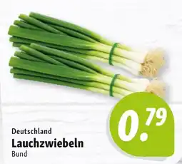 Nah & Frisch Lauchzwiebeln Angebot