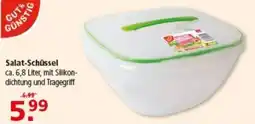 Multi Markt Salat-Schüssel Angebot