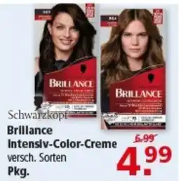 Multi Markt Schwarzkopf Brillance Intensiv-Color-Creme Angebot
