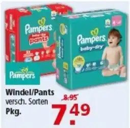 Multi Markt Pampers Windel/Pants Angebot