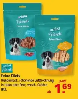 Multi Markt activa Friends Feine Filets Angebot
