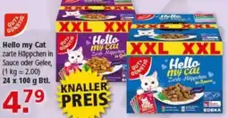 Multi Markt GUT & GÜNSTIG Hello my Cat Angebot