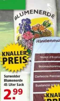 Multi Markt Surwolder Blumenerde Angebot