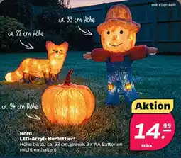 Netto Nord LED-Acryl- Herbsttier* Angebot